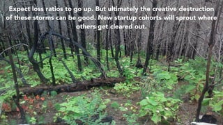31
Expect loss ratios to go up. But ultimately the creative destruction
of these storms can be good. New startup cohorts will sprout where
others get cleared out.
 