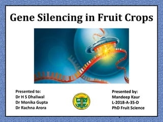 M K SAINI
1
Presented by:
Mandeep Kaur
L-2018-A-35-D
PhD Fruit Science
Gene Silencing in Fruit Crops
Presented to:
Dr H S Dhaliwal
Dr Monika Gupta
Dr Rachna Arora
 