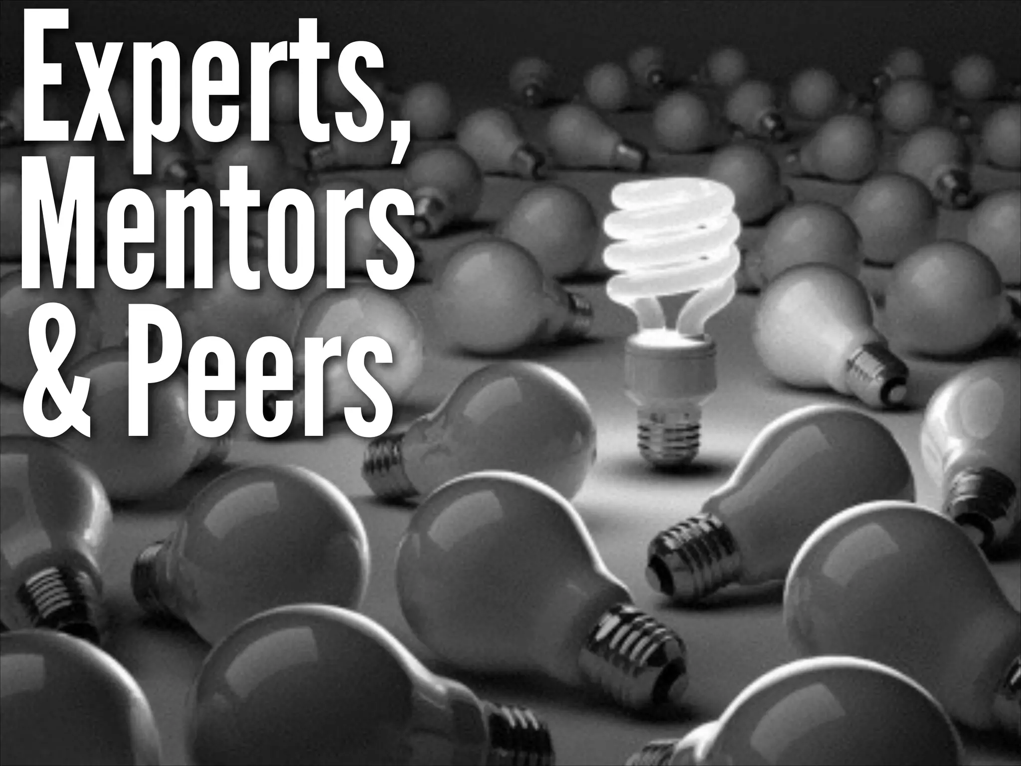 Experts,
Mentors
& Peers
 