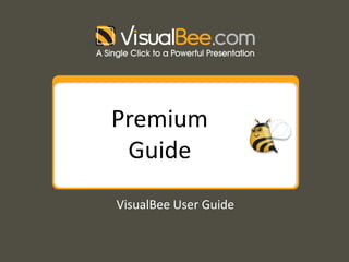 Premium Guide VisualBee User Guide 