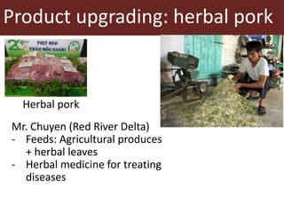 Upgrading in smallholder pig value chain in Vietnam
