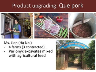 Upgrading in smallholder pig value chain in Vietnam