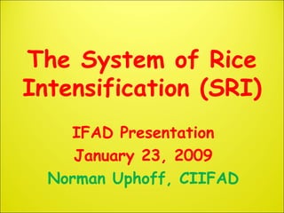 The System of Rice Intensification (SRI) IFAD Presentation January 23, 2009 Norman Uphoff, CIIFAD 