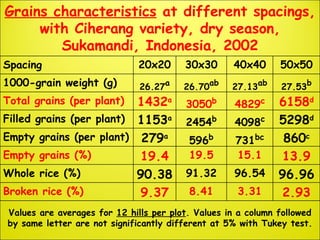 The System of Rice Intensification (SRI) | PPT