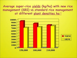 The System of Rice Intensification (SRI)