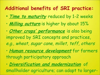 Additional benefits of SRI practice: <ul><li>Time to maturity   reduced by 1-2 weeks </li></ul><ul><li>Milling outturn   i...