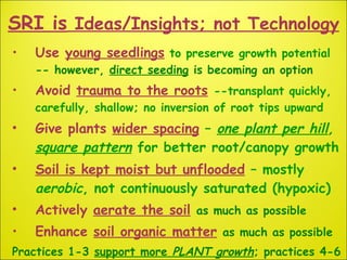 SRI is  Ideas/Insights; not  Technology <ul><li>Use  young seedlings   to preserve growth potential  -- however,  direct s...