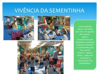 VIVÊNCIA DA SEMENTINHA
Como a planta
cresce ? De onde
ela vem ? O que faz
ela crescer ?
Após o
levantamento de
hipóteses, contei às
crianças a história”
A sementinha que
não queria
crescer”. Após o
conto , cada uma
vivenciou o
‘nascimento’ da
sementinha !
 
