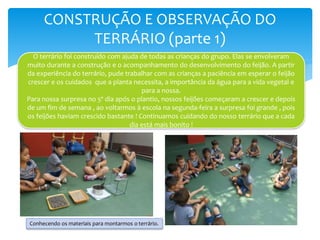 CONSTRUÇÃO E OBSERVAÇÃO DO
TERRÁRIO (parte 1)
O terrário foi construído com ajuda de todas as crianças do grupo. Elas se envolveram
muito durante a construção e o acompanhamento do desenvolvimento do feijão. A partir
da experiência do terrário, pude trabalhar com as crianças a paciência em esperar o feijão
crescer e os cuidados que a planta necessita, a importância da água para a vida vegetal e
para a nossa.
Para nossa surpresa no 5º dia após o plantio, nossos feijões começaram a crescer e depois
de um fim de semana , ao voltarmos à escola na segunda-feira a surpresa foi grande , pois
os feijões haviam crescido bastante ! Continuamos cuidando do nosso terrário que a cada
dia está mais bonito !
Conhecendo os materiais para montarmos o terrário.
 