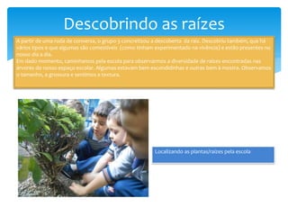 Descobrindo as raízes
A partir de uma roda de conversa, o grupo 3 concretizou a descoberta da raiz. Descobriu também, que há
vários tipos e que algumas são comestíveis (como tinham experimentado na vivência) e estão presentes no
nosso dia a dia.
Em dado momento, caminhamos pela escola para observarmos a diversidade de raízes encontradas nas
árvores do nosso espaço escolar. Algumas estavam bem escondidinhas e outras bem à mostra. Observamos
o tamanho, a grossura e sentimos a textura.
Localizando as plantas/raízes pela escola
 