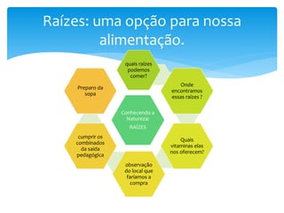 Raízes: uma opção para nossa
alimentação.
Conhecendo a
Natureza:
RAÍZES
quais raízes
podemos
comer?
Onde
encontramos
essas raízes ?
Quais
vitaminas elas
nos oferecem?
observação
do local que
faríamos a
compra
cumprir os
combinados
da saída
pedagógica
Preparo da
sopa
 