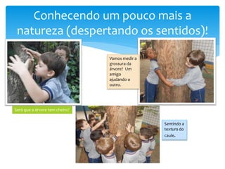 Conhecendo um pouco mais a
natureza (despertando os sentidos)!
Será que a árvore tem cheiro?
Vamos medir a
grossura da
árvore? Um
amigo
ajudando o
outro.
Sentindo a
textura do
caule.
 