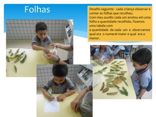 Folhas Desafio seguinte - cada criança observar e
contar as folhas que recolheu.
Com meu auxílio cada um anotou em uma
folha a quantidade recolhida. Fizemos
uma tabela com
a quantidade de cada um e observamos
qual era o numeral maior e qual era o
menor.
 