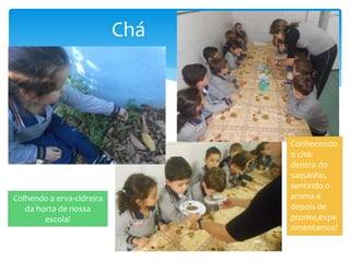 Chá
Colhendo a erva-cidreira
da horta de nossa
escola!
Conhecendo
o chá:
dentro do
saquinho,
sentindo o
aroma e
depois de
pronto,expe
rimentamos!
 