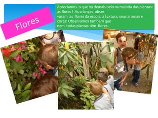 Apreciamos o que há demais belo na maioria das plantas:
as flores ! As crianças obser-
varam as flores da escola, a textura, seus aromas e
cores! Observamos também que
nem todas plantas têm flores.
 