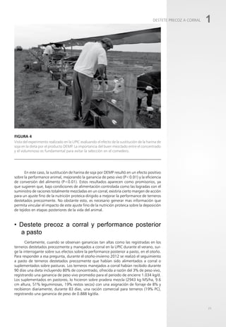 FIGURA 4
25
1
DESTETE PRECOZ A CORRAL
Vista del experimento realizado en la UPIC evaluando el efecto de la sustitución de la harina de
soja en la dieta por el producto DEMP. La importancia del buen mezclado entre el concentrado
y el voluminoso es fundamental para evitar la selección en el comedero.
En este caso, la sustitución de harina de soja por DEMP resultó en un efecto positivo
sobre la performance animal, mejorando la ganancia de peso vivo (P<0.01) y la eficiencia
de conversión del alimento (P<0.01). Estos resultados aparecen como promisorios, ya
que sugieren que, bajo condiciones de alimentación controlada como las logradas con el
suministro de raciones totalmente mezcladas en un corral, existiría cierto margen de acción
para un ajuste fino de la nutrición proteica dirigido a mejorar la performance de terneros
destetados precozmente. No obstante esto, es necesario generar mas información que
permita vincular el impacto de este ajuste fino de la nutrición proteica sobre la deposición
de tejidos en etapas posteriores de la vida del animal.
• Destete precoz a corral y performance posterior
a pasto
Ciertamente, cuando se observan ganancias tan altas como las registradas en los
terneros destetados precozmente y manejados a corral en la UPIC durante el verano, sur-
ge la interrogante sobre sus efectos sobre la performance posterior a pasto, en el otoño.
Para responder a esa pregunta, durante el otoño-invierno 2012 se realizó el seguimiento
a pasto de terneros destetados precozmente que habían sido alimentados a corral o
suplementados sobre pasturas. Los terneros manejados a corral habían recibido durante
90 días una dieta incluyendo 80% de concentrado, ofrecida a razón del 3% de peso vivo,
registrando una ganancia de peso vivo promedio para el periodo de encierre 1.034 kg/d.
Los suplementados en pastoreo, lo hicieron sobre pradera mezcla (2943 kg MS/ha, 9.6
cm altura, 51% leguminosas, 19% restos secos) con una asignación de forraje de 8% y
recibieron diariamente, durante 83 días, una ración comercial para terneros (19% PC),
registrando una ganancia de peso de 0.888 kg/día.
 
