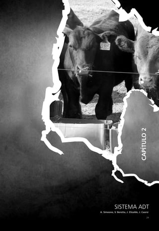 29
A. Simeone, V. Beretta, J. Elizalde, J. Caorsi
SISTEMA ADT
CAPÍTULO
2
 