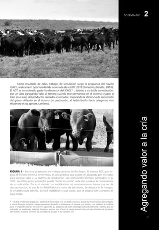 SISTEMA ADT
Agregando
valor
a
la
cría
31
2
Como resultado de estos trabajos de simulación surge la propuesta del novillo
ICACE, realizada en oportunidad de la Jornada de la UPIC 2010 (Simeone y Beretta, 2010).
El ADT es considerado parte fundamental del ICACE1 , debido a su doble contribución,
por un lado agregando valor al ternero cuando este permanece en el sistema criador, o
bien en el caso del productor recriador-invernador, mejorando la eficiencia de conversión
del grano utilizado en el sistema de producción, al redistribuirlo hacia categorías más
eficientes en su aprovechamiento.
Figura 1 – Encierre de terneros en el departamento de Río Negro. El sistema ADT, que im-
plica el encierre invernal de terneros, es una práctica que puede ser adoptada por el criador
para agregar valor a su sistema de producción. Los coeficientes técnicos generados en la
UPIC, permiten que el productor pueda “hacer la cuenta” cada año y evaluar la conveniencia
de su aplicación. Por este motivo, las instalaciones no necesariamente tienen que ser de
tipo estructural, lo que le da flexibilidad a la toma de decisiones. Se destaca en la imagen,
la infraestructura sencilla, de fácil instalación y bajo costo, que se adapta bien a predios de
baja escala.
FOTO 1
1 - ICACE: Invierno Carga Cero. Sistema de invernada con un doble encierre, donde los terneros son alimentados
a corral durante invierno, luego pastorean durante la primavera, el verano y el otoño, y se vuelven a confinar
para el engorde final en el invierno siguiente. La adopción de esta estrategia estructuralmente, implica que los
animales no pastorean durante invierno, motivo por el cual la carga animal sobre el área efectiva de pastoreo
del sistema durante invierno es cero UG/ha, lo que le da nombre a la
 