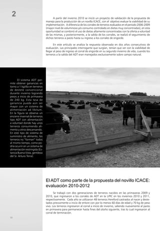 32
2 A partir del invierno 2010 se inició un proyecto de validación de la propuesta de
manejo para la producción de un novillo ICACE, con el objetivo evaluar la viabilidad de su
implementación. A diferencia de los corrales de terneros evaluados en el periodo 2006-2009
(mayor nivel de voluminoso y/o consumo controlado en dietas muy concentradas), en esta
oportunidad se combinó el uso de dietas altamente concentradas con la oferta a voluntad
de las mismas, y posteriormente, a la salida de los corrales, se realizó el seguimiento de
dichos terneros a pasto hasta su ingreso a los corrales de engorde.
En este artículo se analiza la respuesta observada en dos años consecutivos de
evaluación. Las principales interrogante que surgían, tenían que ver con la viabilidad de
llegar al peso de ingreso al corral de engorde en su segundo invierno de vida, cuando los
terneros a la salida del ADT eran manejados exclusivamente sobre campo natural.
El ADT como parte de la propuesta del novillo ICACE:
evaluación 2010-2012
Se trabajó con dos generaciones de terneros nacidos en las primaveras 2009 y
2010, que ingresaron a los corrales de ADT en la UPIC en los inviernos 2010 y 2011,
respectivamente. Cada año se utilizaron 48 terneros Hereford castrados al nacer y deste-
tados precozmente a inicio de entore con por lo menos 60 días de edad y 70 kg de peso
vivo. Los terneros ingresaron al corral a inicio de invierno, saliendo nuevamente al pasto
en primavera para permanecer hasta fines del otoño siguiente, tras lo cual ingresaron al
corral de terminación.
El sistema ADT per-
mite obtener ganancias en
torno a 1 kg/día en terneros
de destete convencional
durante invierno logrando
pesos a inicio de primavera
de 240 kg. Esta tasa de
ganancia puede aún ser
mayor con un sistema de
alimentación ad libitum.
En la figura se observa un
encierre invernal de terneros
tipo ADT con alimentación
a voluntad donde hay unos
terneros consumiendo ali-
mento y otros descansando.
En este tipo de sistema de
suministro de alimento, los
terneros no “forman” todos
al mismo tiempo, como po-
dría ocurrir en un sistema de
alimentación restringida (Es-
tancia Buena Vista, gentileza
del Sr. Arturo Terra).
 