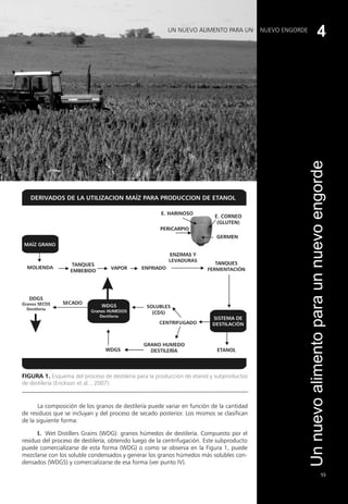 55
Figura 1. Esquema del proceso de destilería para la producción de etanol y subproductos
de destilería (Erickson et al. , 2007).
La composición de los granos de destilería puede variar en función de la cantidad
de residuos que se incluyan y del proceso de secado posterior. Los mismos se clasifican
de la siguiente forma:
I. Wet Distillers Grains (WDG): granos húmedos de destilería. Compuesto por el
residuo del proceso de destilería, obtenido luego de la centrifugación. Este subproducto
puede comercializarse de esta forma (WDG) o como se observa en la Figura 1, puede
mezclarse con los soluble condensados y generar los granos húmedos más solubles con-
densados (WDGS) y comercializarse de esa forma (ver punto IV).
UN NUEVO ALIMENTO PARA UN NUEVO ENGORDE
Un
nuevo
alimento
para
un
nuevo
engorde
4
 