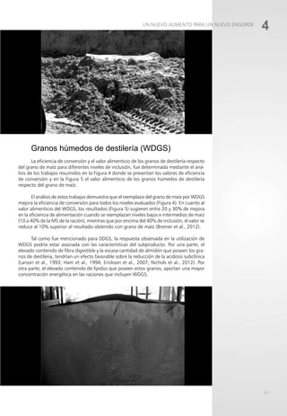 61
Granos húmedos de destilería (WDGS)
La eficiencia de conversión y el valor alimenticio de los granos de destilería respecto
del grano de maíz para diferentes niveles de inclusión, fue determinada mediante el aná-
lisis de los trabajos resumidos en la Figura 4 donde se presentan los valores de eficiencia
de conversión y en la Figura 5 el valor alimenticio de los granos húmedos de destilería
respecto del grano de maíz.
El análisis de estos trabajos demuestra que el reemplazo del grano de maíz por WDGS
mejora la eficiencia de conversión para todos los niveles evaluados (Figura 4). En cuanto al
valor alimenticio del WDGS, los resultados (Figura 5) sugieren entre 20 y 30% de mejora
en la eficiencia de alimentación cuando se reemplazan niveles bajos e intermedios de maíz
(10 a 40% de la MS de la ración), mientras que por encima del 40% de inclusión, el valor se
reduce al 10% superior al resultado obtenido con grano de maíz (Bremer et al., 2012).
Tal como fue mencionado para DDGS, la respuesta observada en la utilización de
WDGS podría estar asociada con las características del subproducto. Por una parte, el
elevado contenido de fibra digestible y la escasa cantidad de almidón que poseen los gra-
nos de destileria, tendrían un efecto favorable sobre la reducción de la acidosis subclínica
(Larson et al., 1993; Ham et al., 1994; Erickson et al., 2007, Nichols et al., 2012). Por
otra parte, el elevado contenido de lípidos que poseen estos granos, aportan una mayor
concentración energética en las raciones que incluyen WDGS.
4
UN NUEVO ALIMENTO PARA UN NUEVO ENGORDE
 