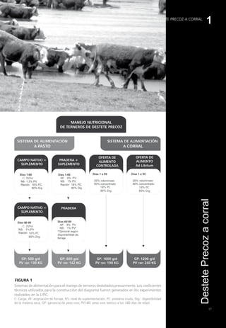 FIGURA 1
1
17
DESTETE PRECOZ A CORRAL
Destete
Precoz
a
corral
Sistemas de alimentación para el manejo de terneros destetados precozmente. Los coeficientes
técnicos utilizados para la construcción del diagrama fueron generados en los experimentos
realizados en la UPIC.
C: Carga, AF: asignación de forraje, NS: nivel de suplementación, PC: proteína cruda, Dig.: digestibilidad
de la materia seca, GP: ganancia de peso vivo, PV180: peso vivo teórico a los 180 días de edad.
 