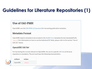 Guidelines for Literature Repositories (1)
 