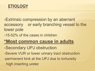 ETIOLOGY
-Extrinsic compression by an aberrant
accessory or early branching vessel to the
lower pole
-15-52% of the cases in children
*Most common cause in adults
-Secondary UPJ obstruction
-Severe VUR or lower urinary tract obstruction
-permanent kink at the UPJ due to tortuosity
high inserting ureter
 