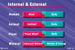 © IEF 19PML 1.3.1s
Internal & External
Mind Body
Instinct Body
“Plant Mind” Body
Human
Animal
Plant
Mineral Inherent Nature Matter & Energy
 