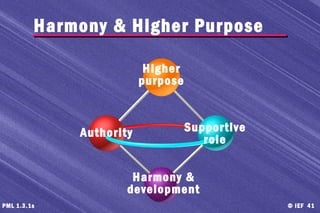 © IEF 41PML 1.3.1s
Authority
Higher
purpose
Harmony &
development
Supportive
role
Harmony & Higher Purpose
 