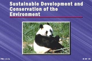 © IEF 45PML 1.3.1s
Sustainable Development and
Conservation of the
Environment
 