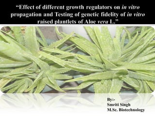 By:-
Smriti Singh
M.Sc. Biotechnology
 