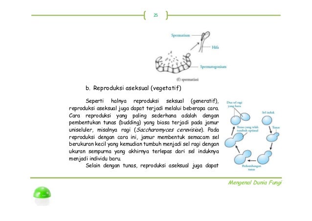 Buku Fungi