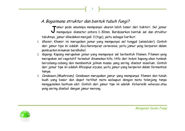 Buku Fungi Buku Fungi