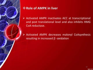 Role of AMPK in liver
 Activated AMPK inactivates ACC at transcriptional
and post translational level and also inhibits HMG
CoA reductase.
 Activated AMPK decreases malonyl CoAsynthesis
resulting in increased b -oxidation
12
 