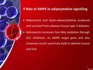 Role of AMPK in adipocytokine signalling
 Adiponectin and leptin-adipocytokines produced
and secreted from adipose tissues-type 2 diabetes
 Adinopectin increases free fatty oxidation through
ACC inhibition, an AMPK target gene and also
enhances insulin sensitivity both in skeletal muscle
and liver
13
 