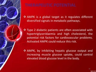  AMPK is a global target as it regulates different
diversified signals in metabolic pathways.
 Type 2 diabetic patients are often associated with
hypertriglyceridaemia and high cholesterol, the
potential risk factors for cardiovascular problems.
Activated AMPK could reduce this risk.
 AMPK, by inhibiting hepatic glucose output and
increasing muscle glucose uptake, could control
elevated blood glucose level in the body.
THERAPEUTIC POTENTIAL
15
 