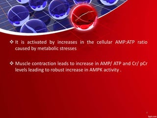  It is activated by increases in the cellular AMP:ATP ratio
caused by metabolic stresses
 Muscle contraction leads to increase in AMP/ ATP and Cr/ pCr
levels leading to robust increase in AMPK activity .
4
 