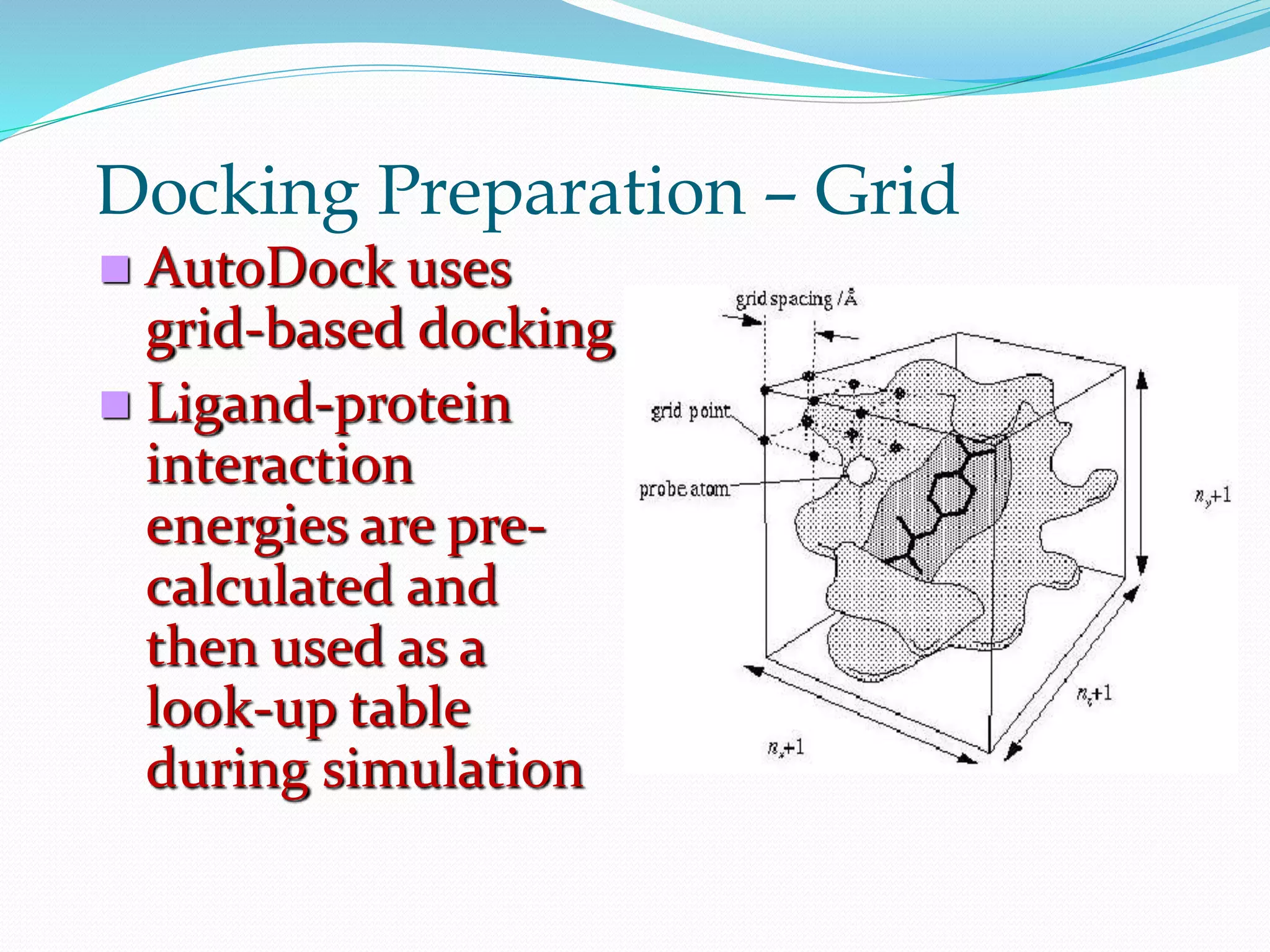 Docking Preparation – Grid
 AutoDock uses
grid-based docking
 Ligand-protein
interaction
energies are pre-
calculated and
then used as a
look-up table
during simulation
 