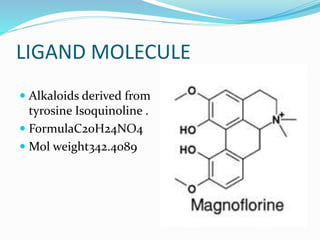 LIGAND MOLECULE
 Alkaloids derived from
tyrosine Isoquinoline .
 FormulaC20H24NO4
 Mol weight342.4089
 