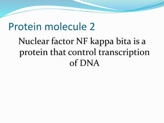 Protein molecule 2
Nuclear factor NF kappa bita is a
protein that control transcription
of DNA
 