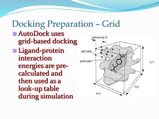 Docking Preparation – Grid
 AutoDock uses
grid-based docking
 Ligand-protein
interaction
energies are pre-
calculated and
then used as a
look-up table
during simulation
 