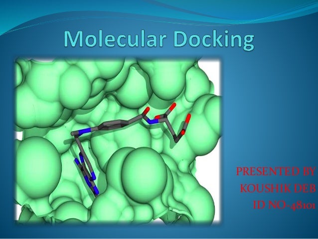 Molecular Docking molecular-docking