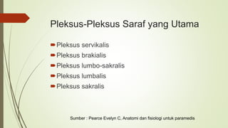 Pleksus-Pleksus Saraf yang Utama
Pleksus servikalis
Pleksus brakialis
Pleksus lumbo-sakralis
Pleksus lumbalis
Pleksus sakralis
Sumber : Pearce Evelyn C, Anatomi dan fisiologi untuk paramedis
 