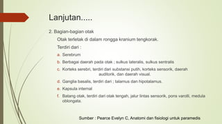 Lanjutan.....
2. Bagian-bagian otak
Otak terletak di dalam rongga kranium tengkorak.
Terdiri dari :
a. Serebrum
b. Berbagai daerah pada otak ; sulkus lateralis, sulkus sentralis
c. Korteks serebri, terdiri dari substansi putih, korteks sensorik, daerah
auditorik, dan daerah visual.
d. Ganglia basalis, terdiri dari ; talamus dan hipotalamus.
e. Kapsula internal
f. Batang otak, terdiri dari otak tengah, jalur lintas sensorik, pons varolli, medula
oblongata.
Sumber : Pearce Evelyn C, Anatomi dan fisiologi untuk paramedis
 
