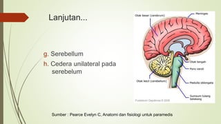 Lanjutan...
g. Serebellum
h. Cedera unilateral pada
serebelum
Sumber : Pearce Evelyn C, Anatomi dan fisiologi untuk paramedis
 