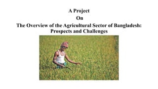 A Project
On
The Overview of the Agricultural Sector of Bangladesh:
Prospects and Challenges
 
