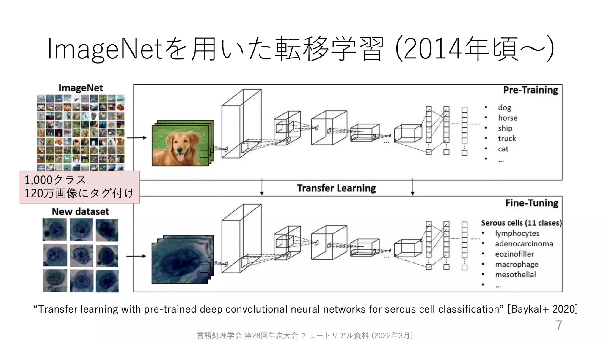 ゼロから始める転移学習