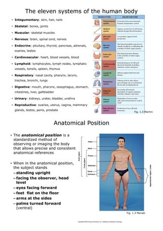 Human Anatomy: Anatomical Terminology for Freshman | PDF