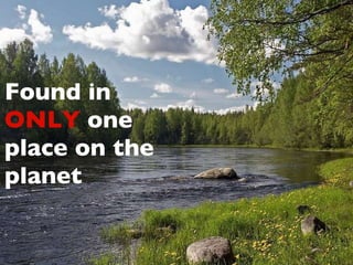 Found in  ONLY  one place on the planet 